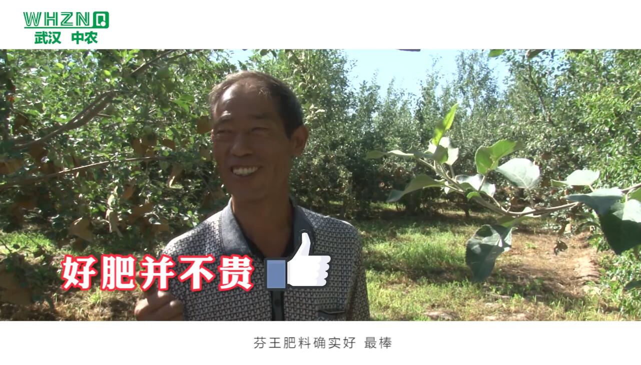 武汉中农：种出来的阿克苏